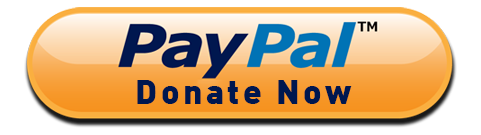 paypal donate button